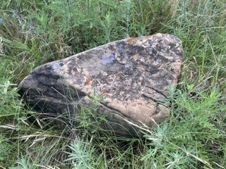Tbd (Lot 7) Barry Road Henrietta TX 76365