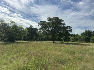 Tbd (Lot 7) Barry Road Henrietta TX 76365