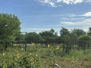 Tbd (Lot 7) Barry Road Henrietta TX 76365