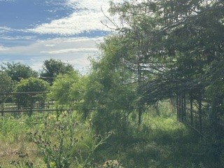 Tbd (Lot 7) Barry Road Henrietta TX 76365