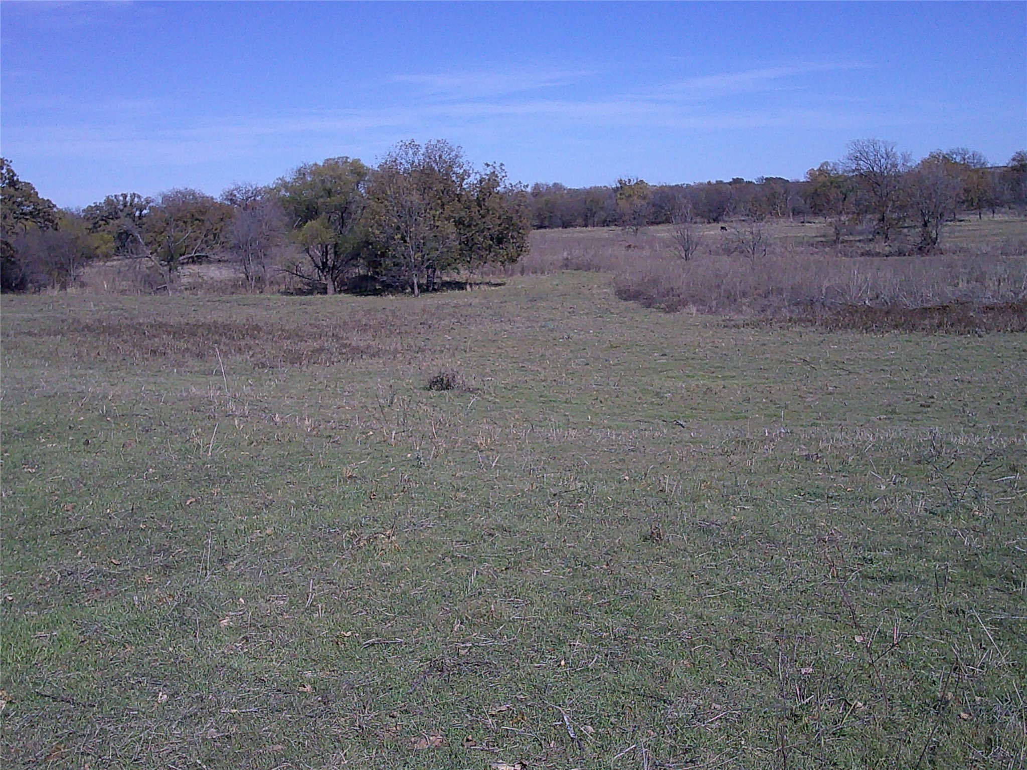 Trail 1 West Rc Bowie TX 76230