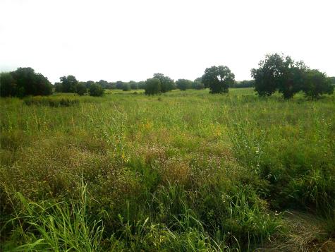 Trail 1 West Rc Bowie TX 76230