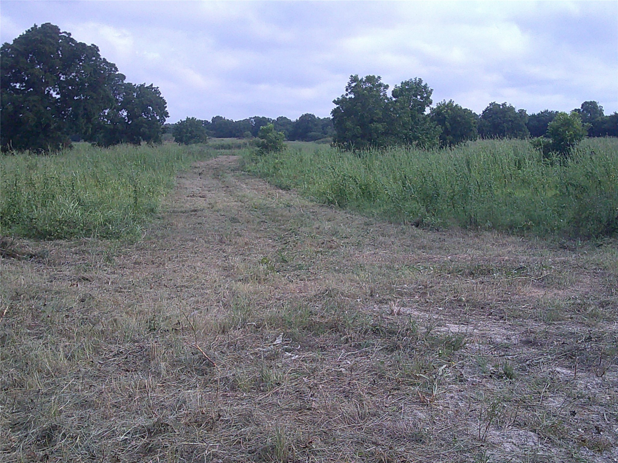 Trail 1 West Rc Bowie TX 76230