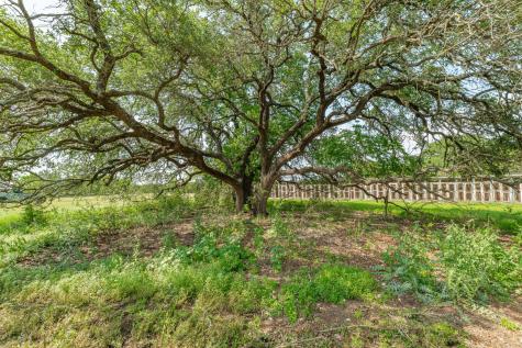 5544 Fm 927 Walnut Springs TX 76690