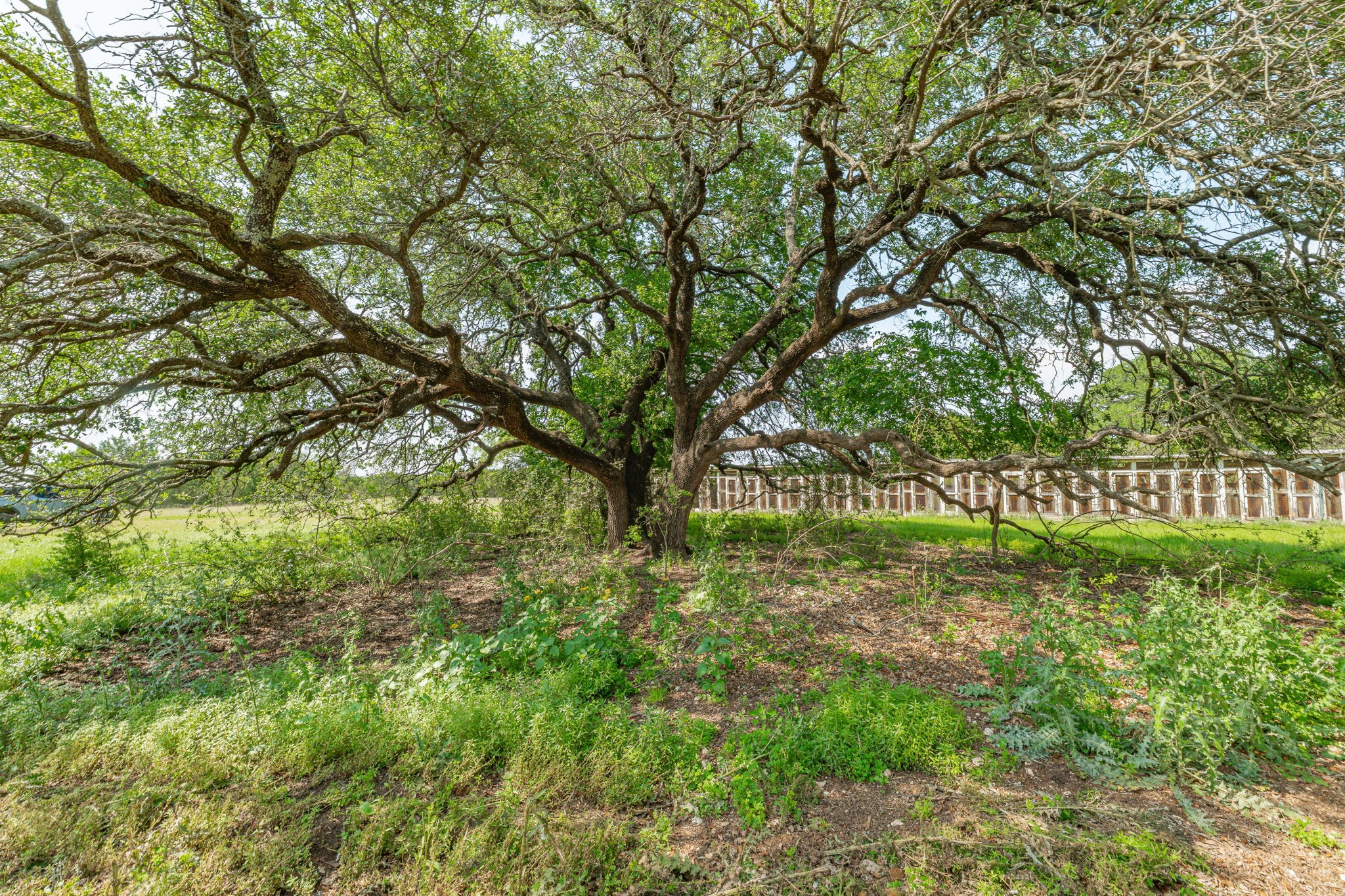 5544 Fm 927 Walnut Springs TX 76690