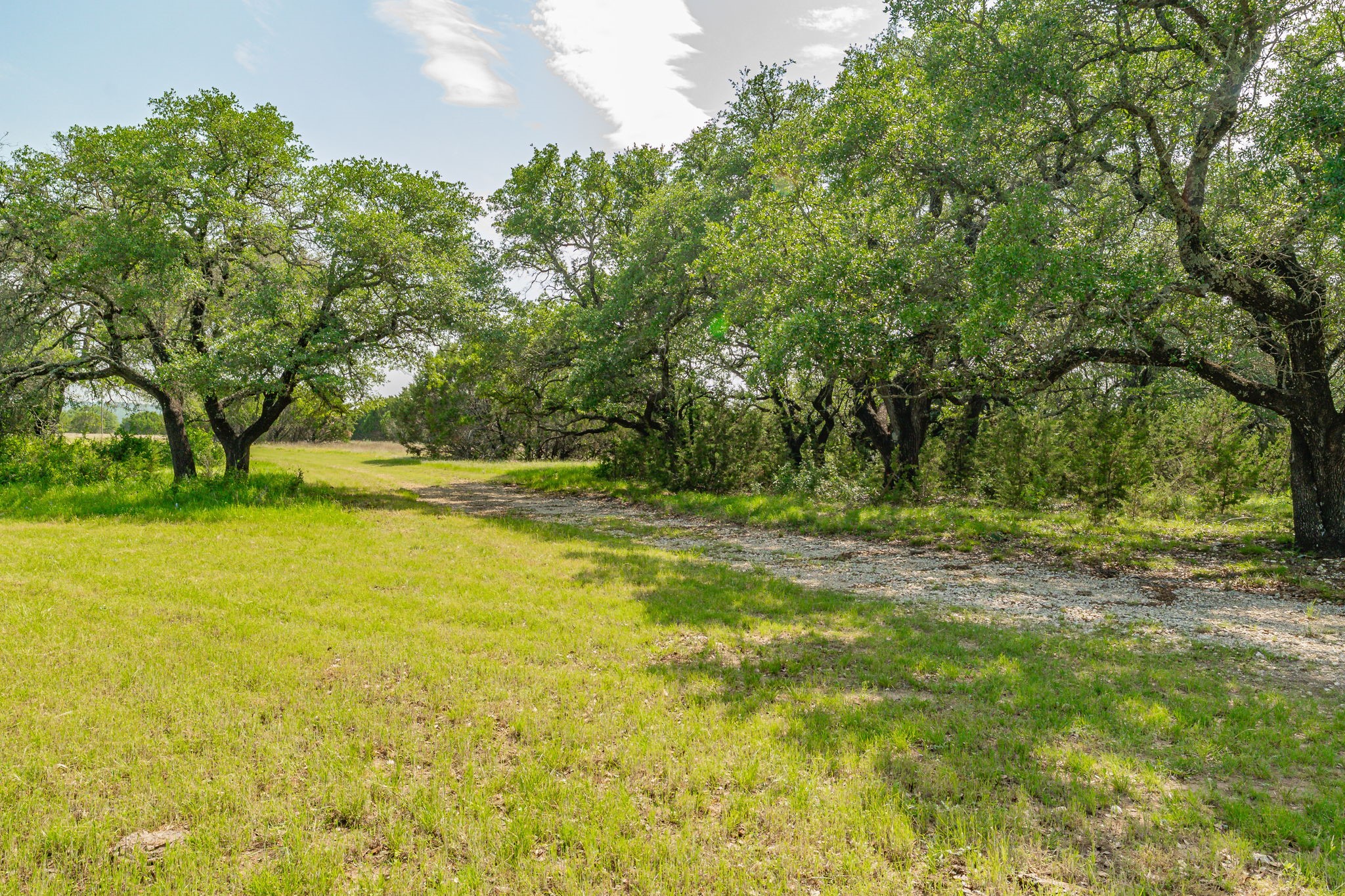 5544 Fm 927 Walnut Springs TX 76690