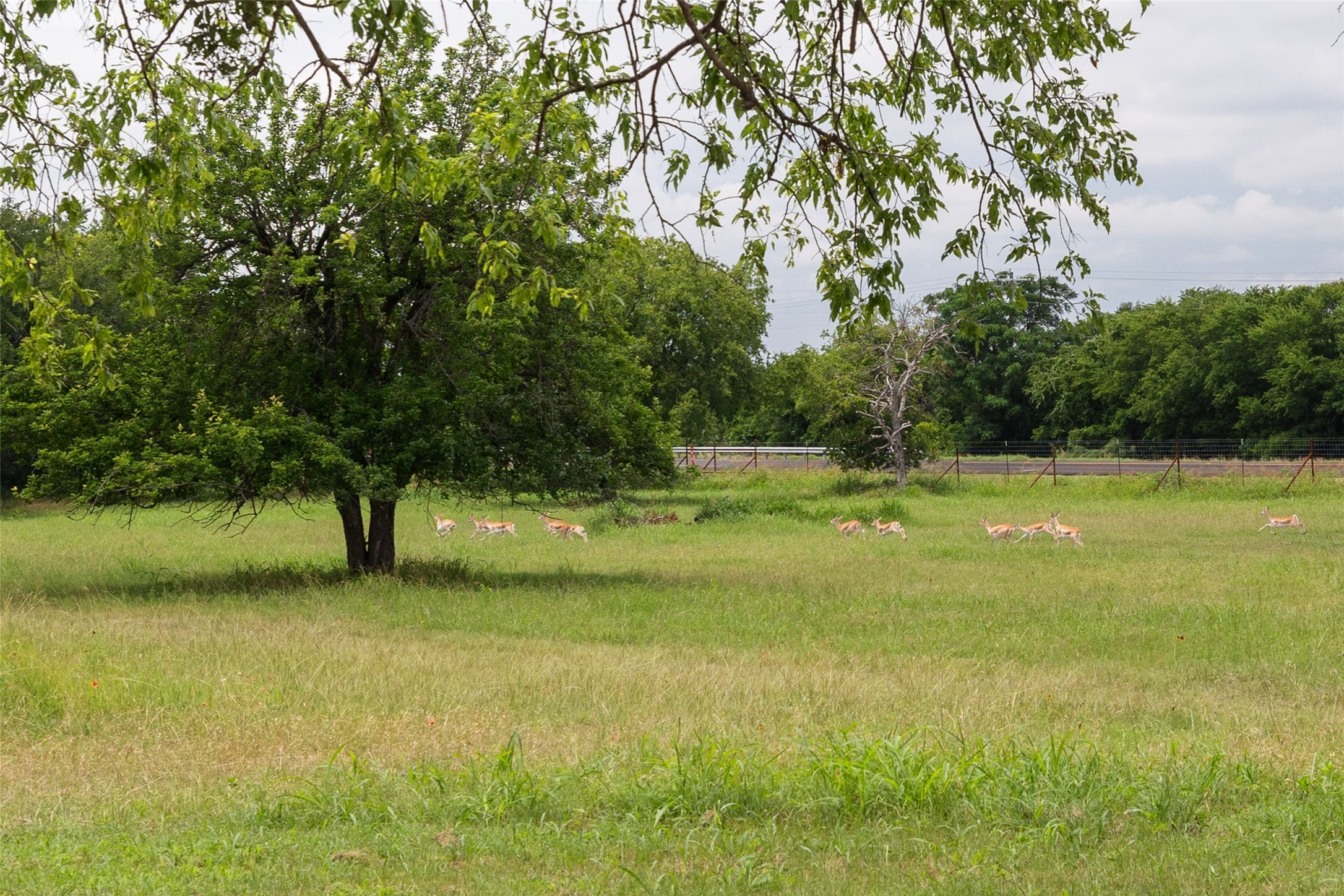 1307 County Road 2120 Meridian TX 76665