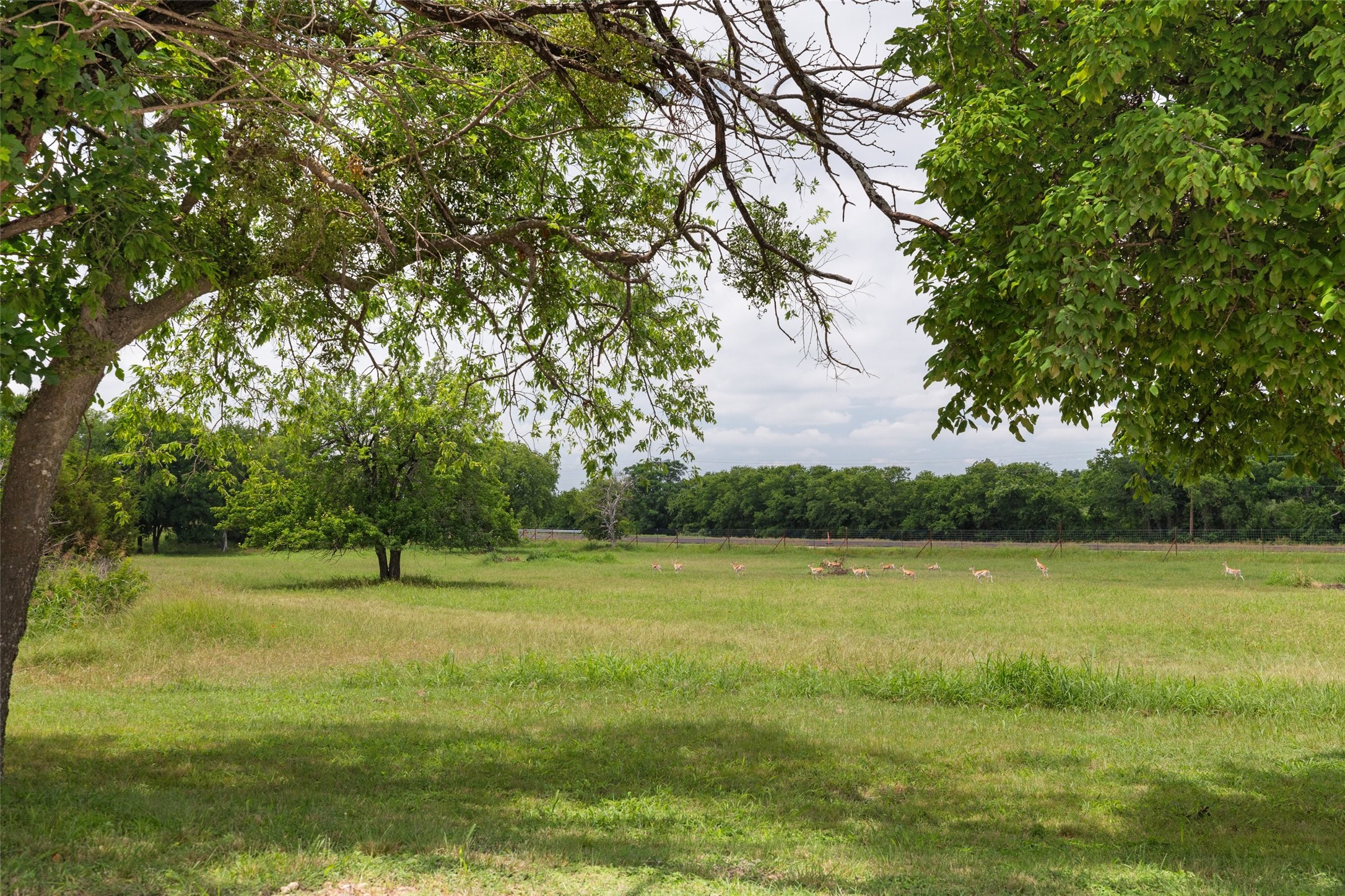 1307 County Road 2120 Meridian TX 76665