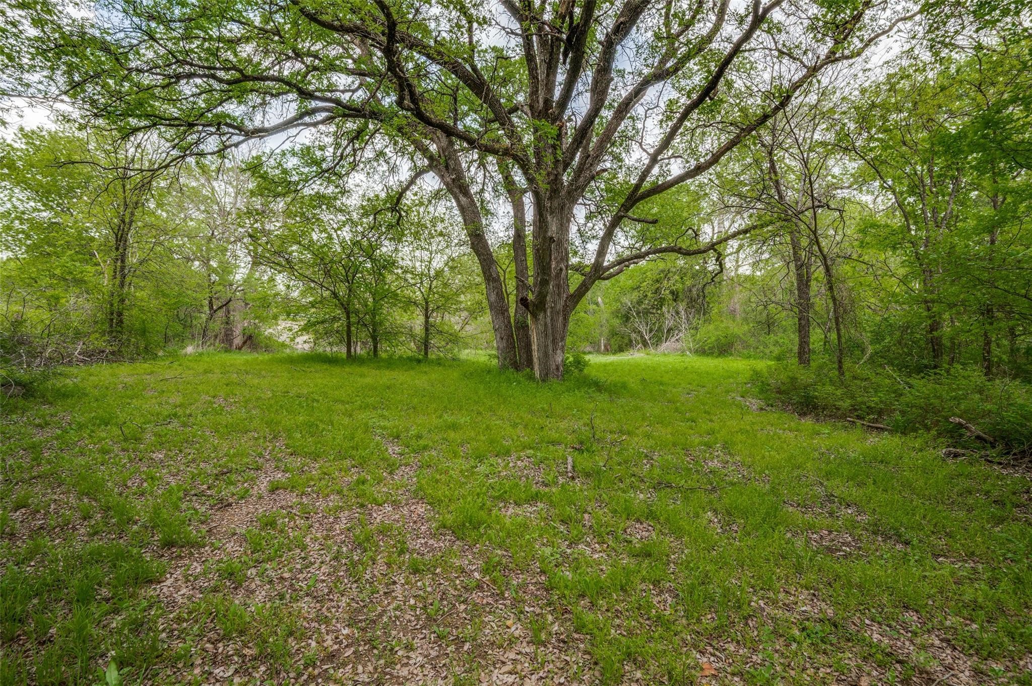 1505 Cypress Bend Drive Cedar Hill TX 75104
