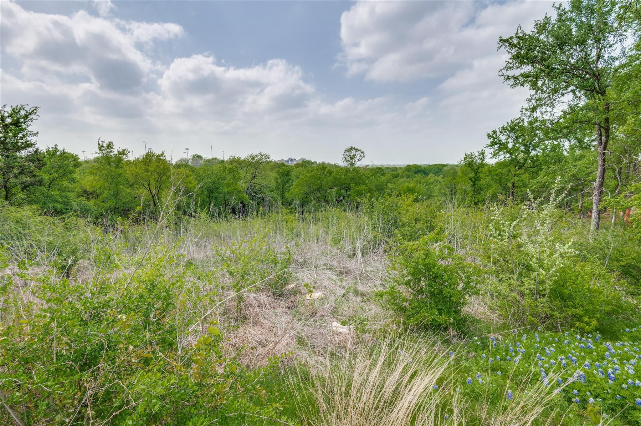 1505 Cypress Bend Drive Cedar Hill TX 75104
