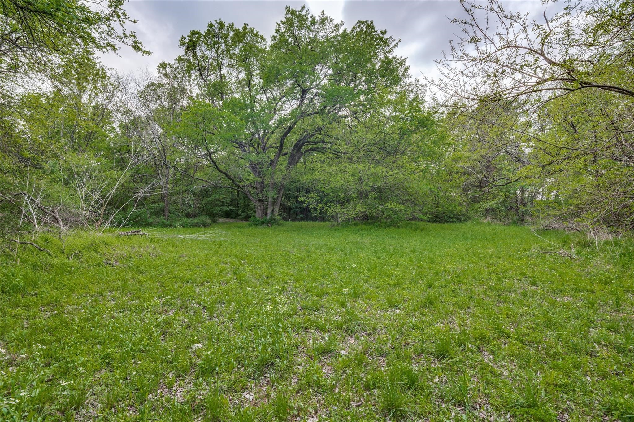 1505 Cypress Bend Drive Cedar Hill TX 75104