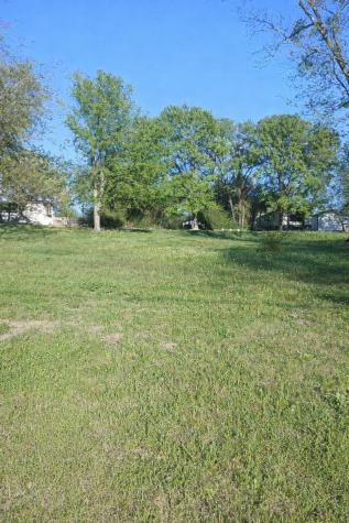 247 Wildwind Street Gun Barrel City TX 75156