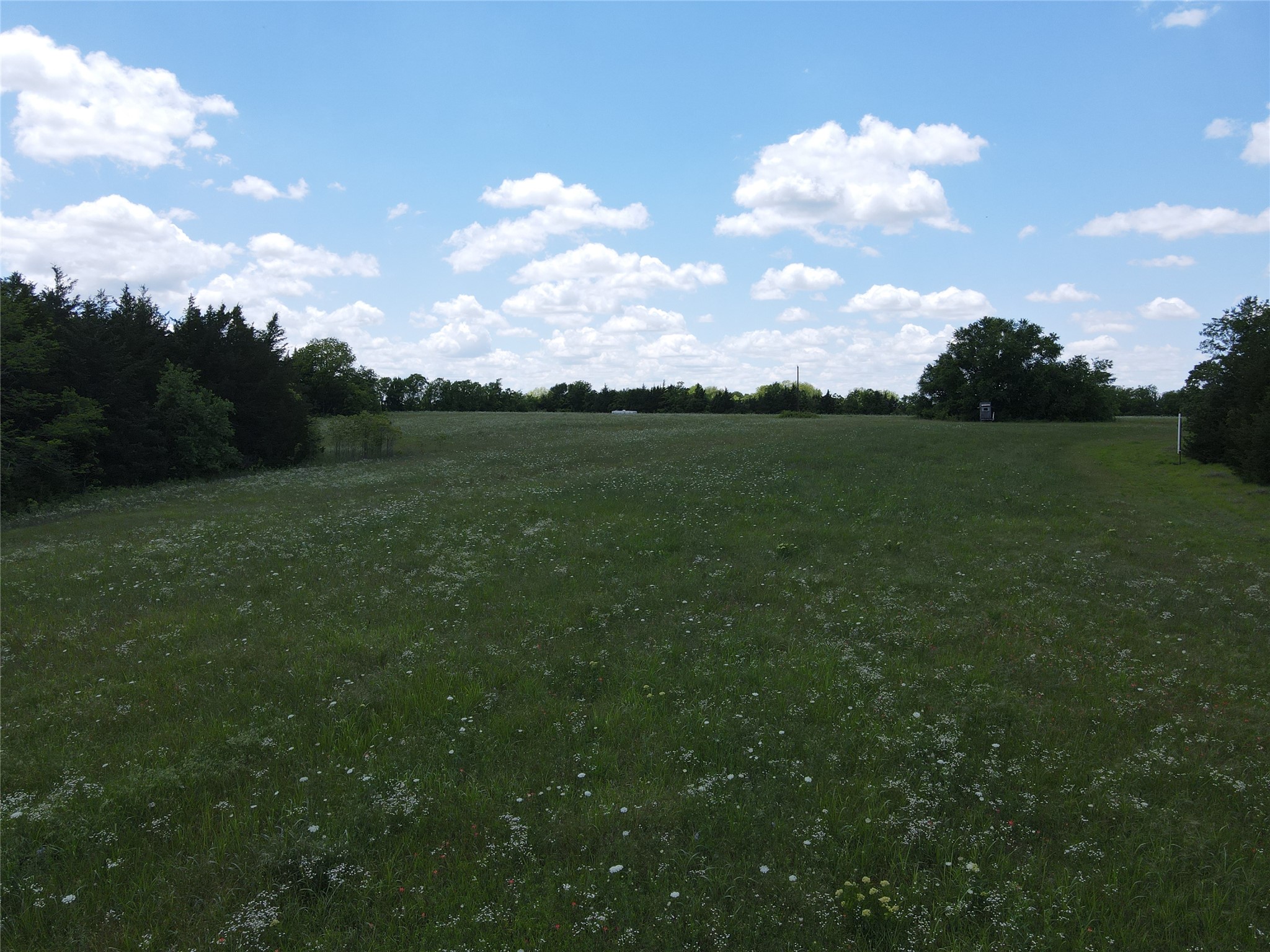 Tbd Cr 2975 Dodd City TX 75438