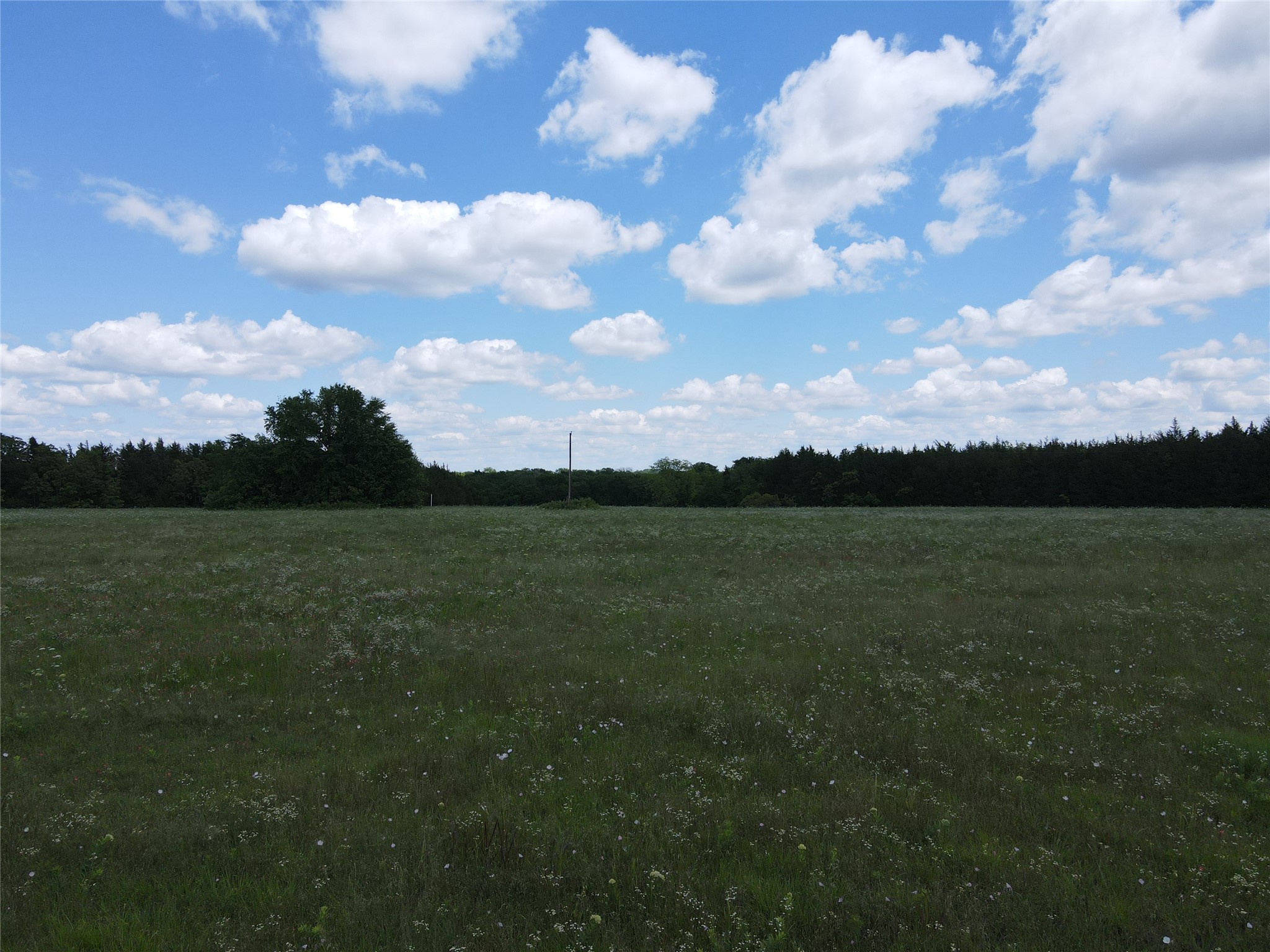 Tbd Cr 2975 Dodd City TX 75438
