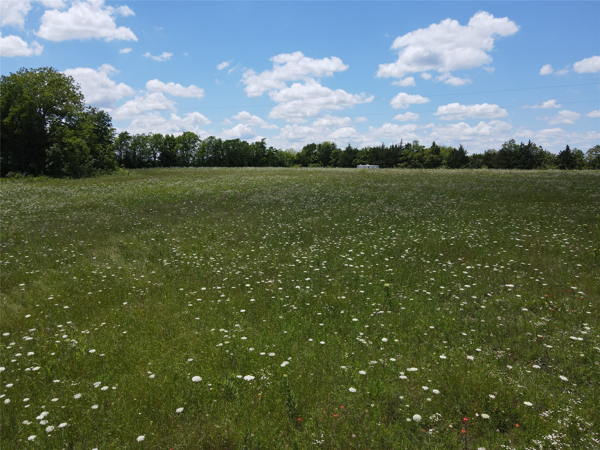 Tbd Cr 2975 Dodd City TX 75438