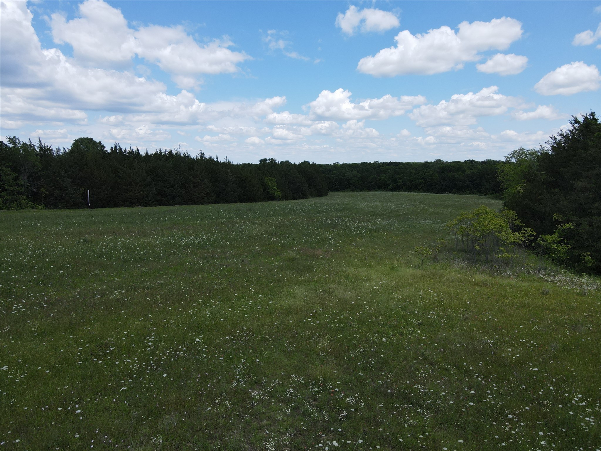 Tbd Cr 2975 Dodd City TX 75438