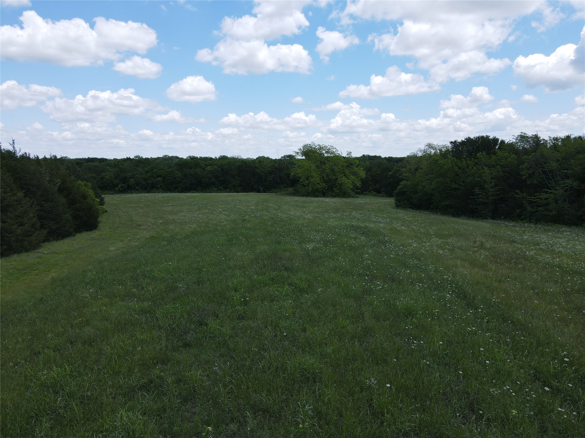 Tbd Cr 2975 Dodd City TX 75438