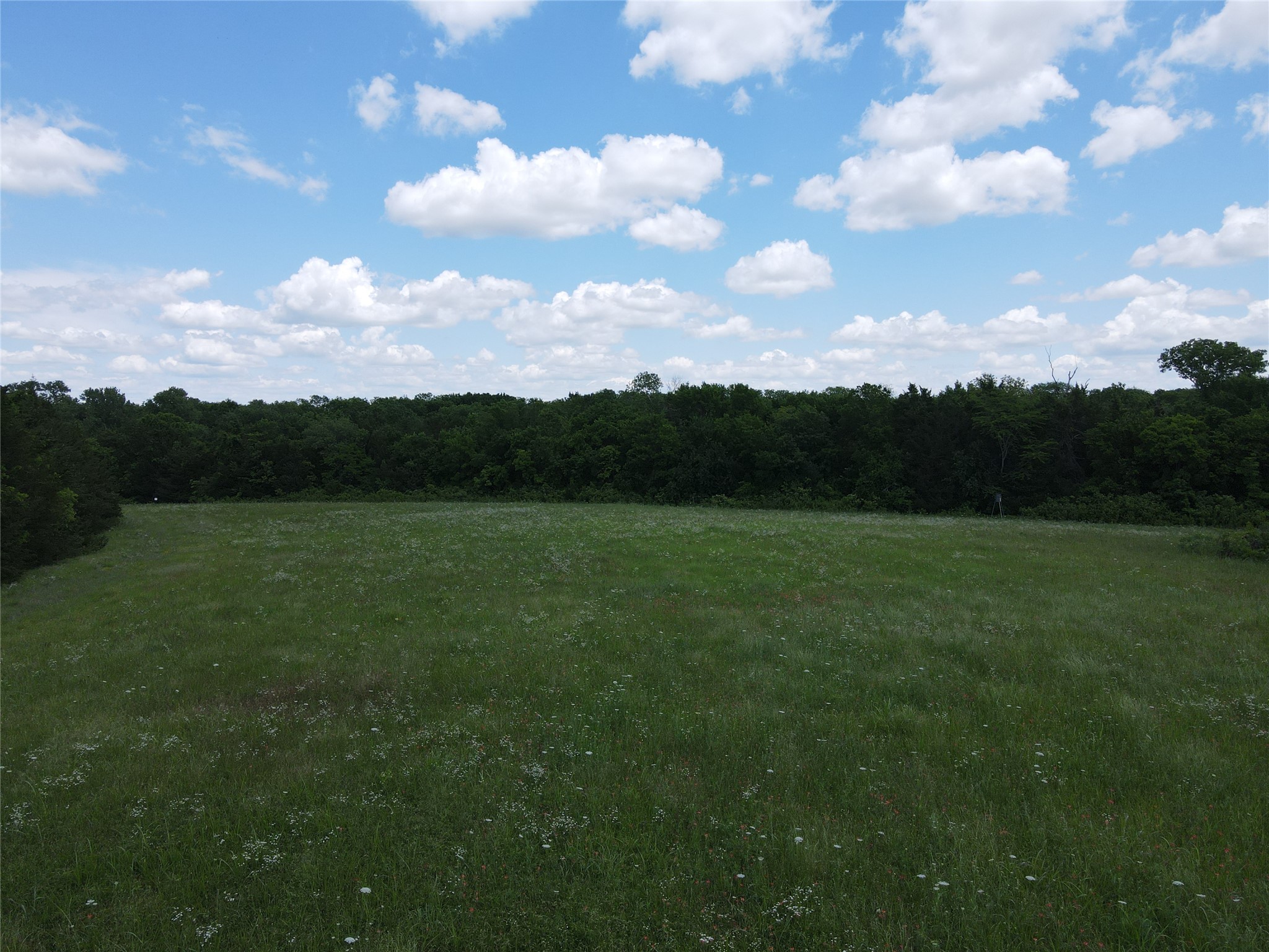 Tbd Cr 2975 Dodd City TX 75438