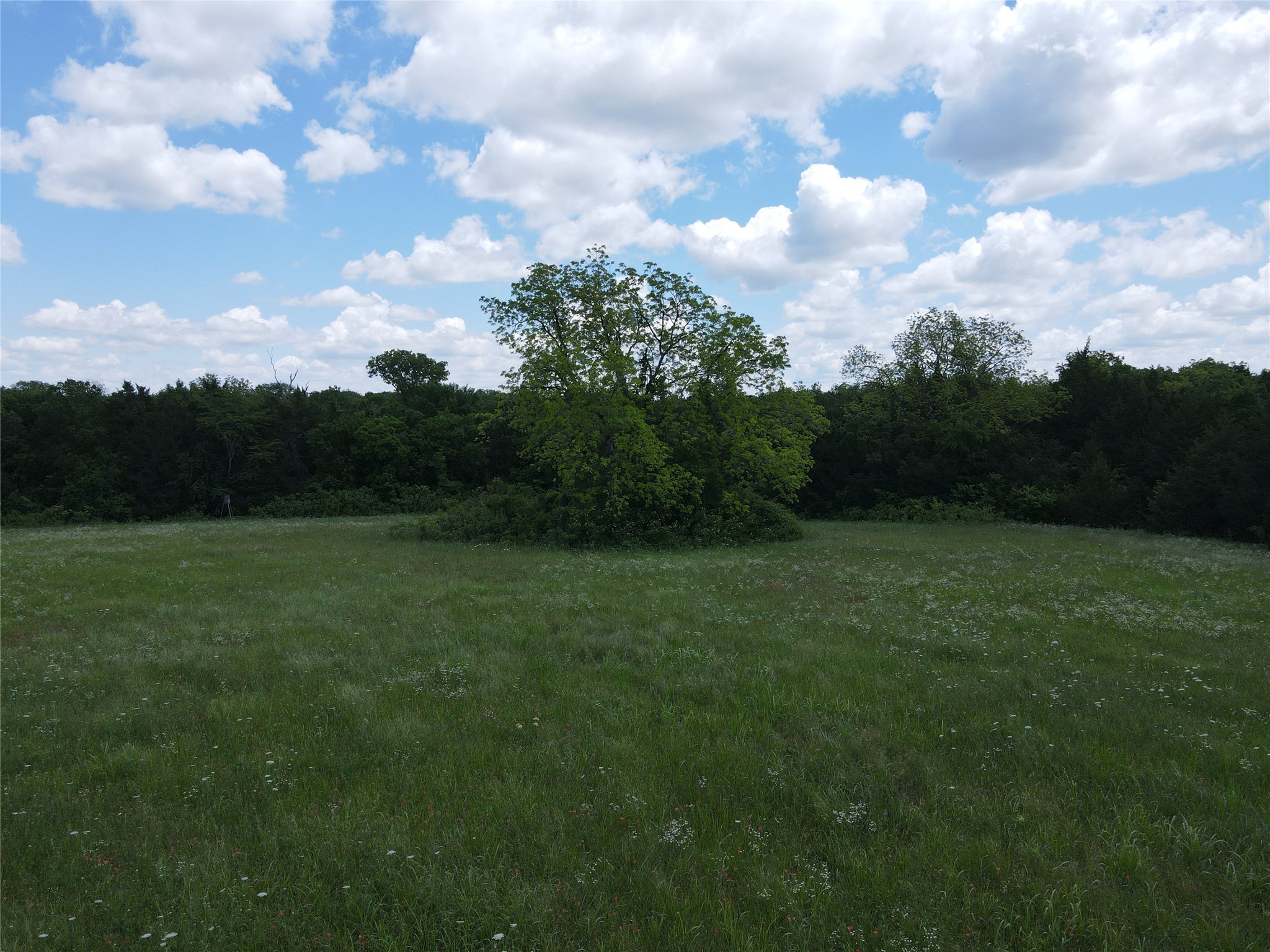 Tbd Cr 2975 Dodd City TX 75438