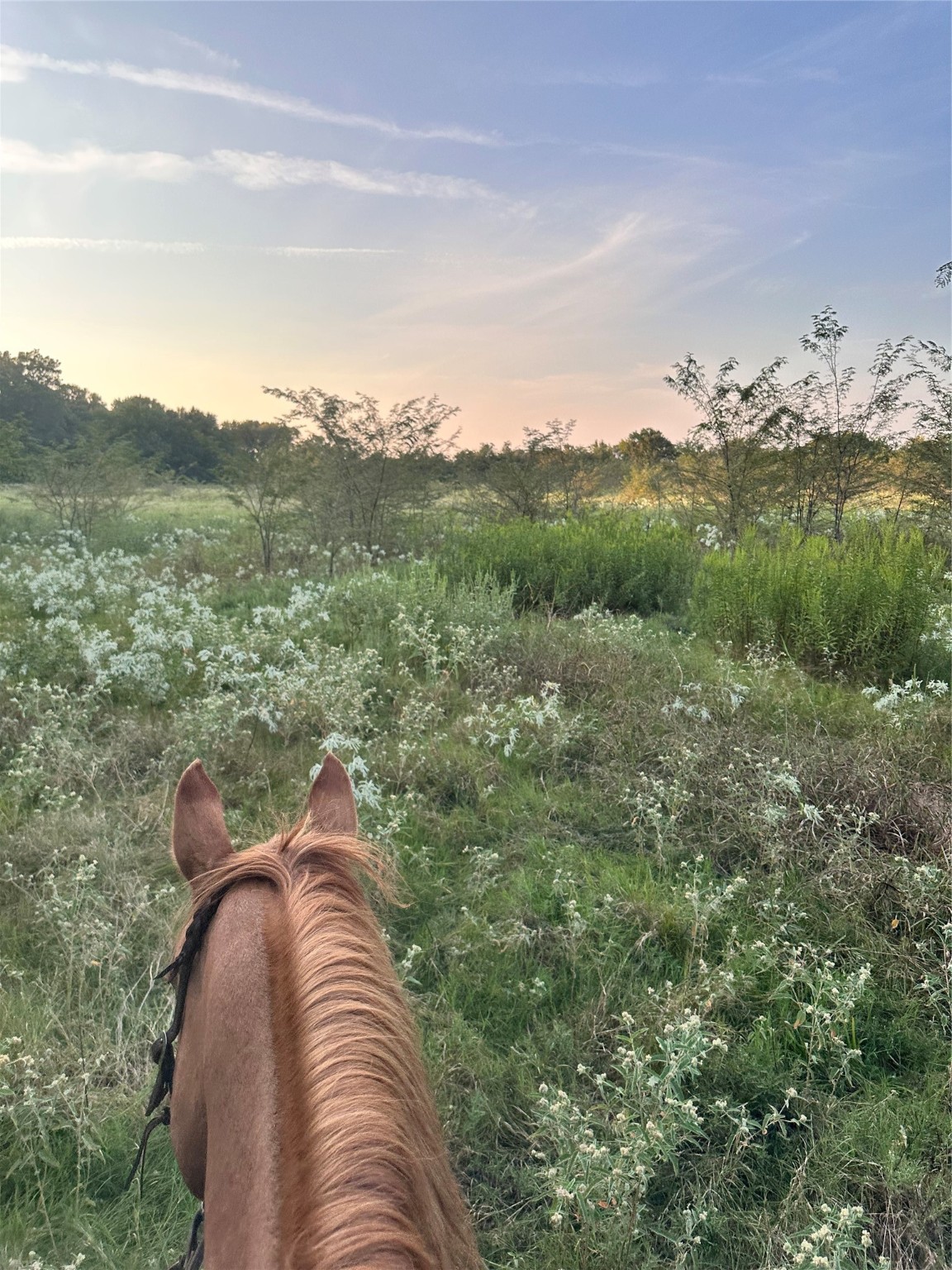 0000 County Road 3226 Lone Oak TX 75453