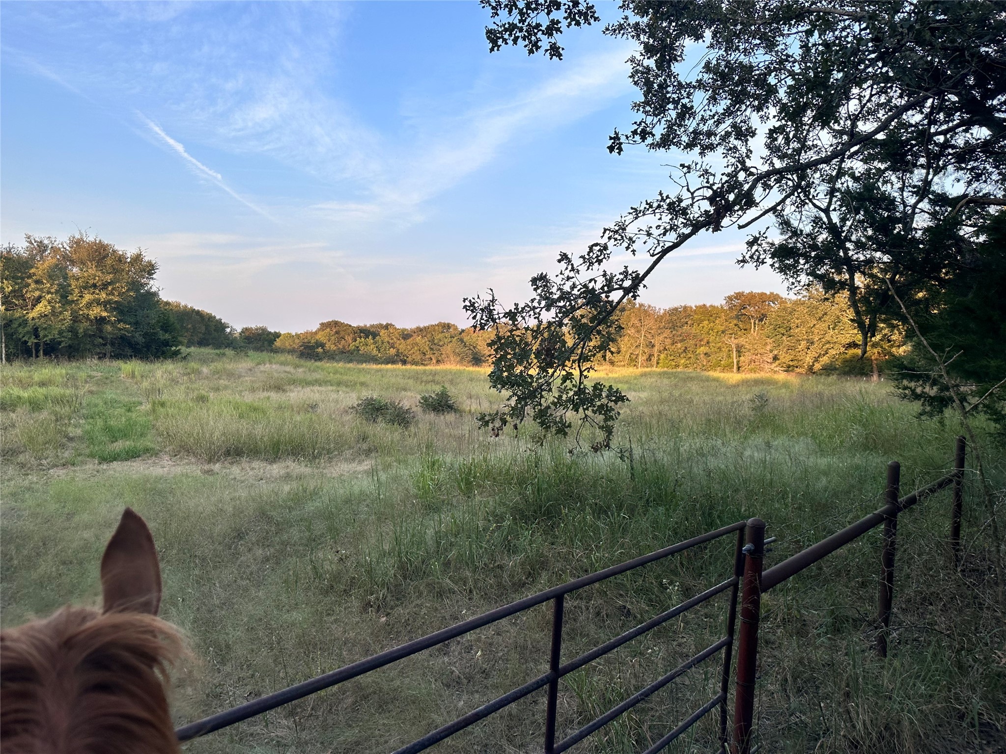 0000 County Road 3226 Lone Oak TX 75453