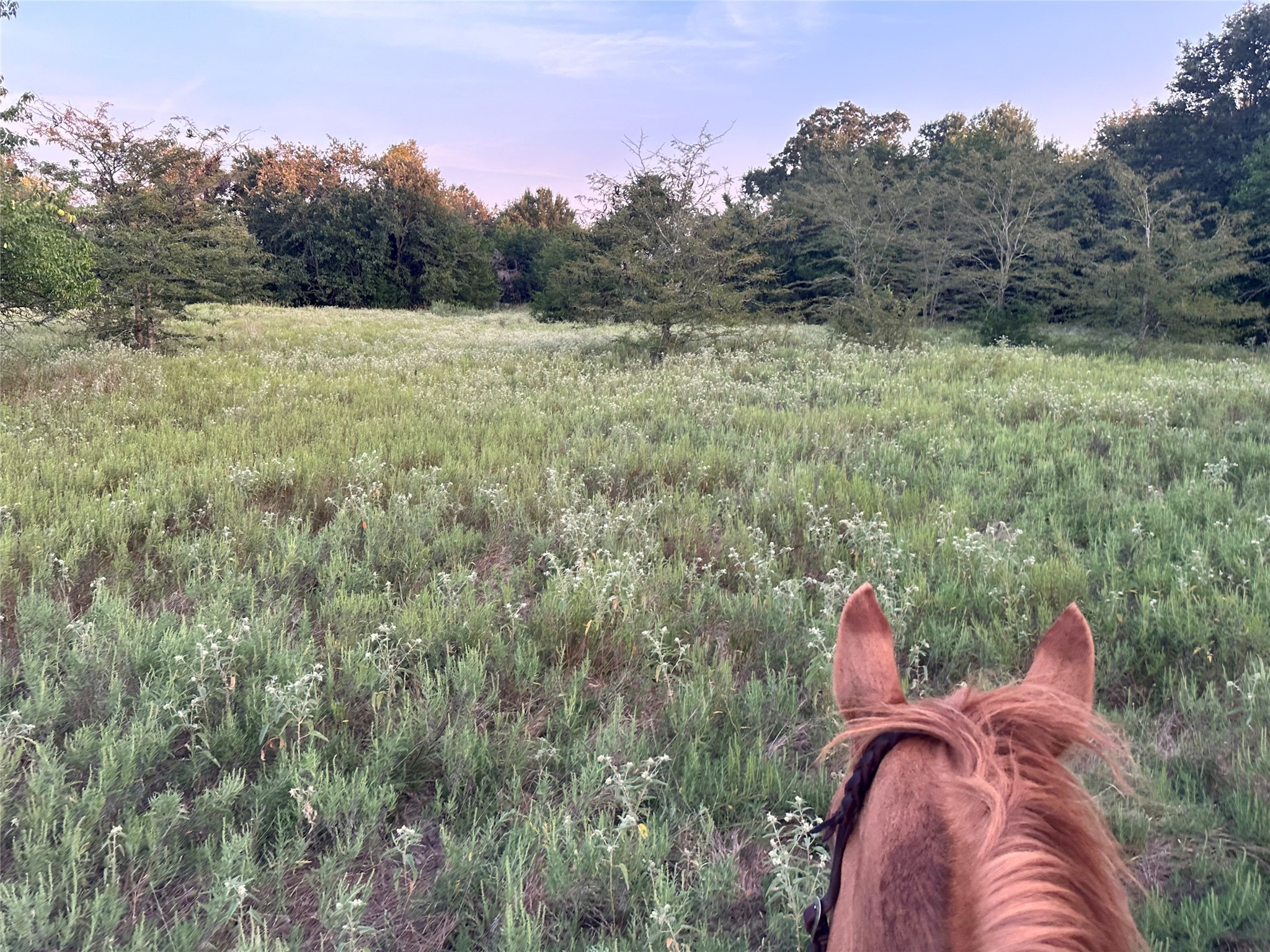 0000 County Road 3226 Lone Oak TX 75453