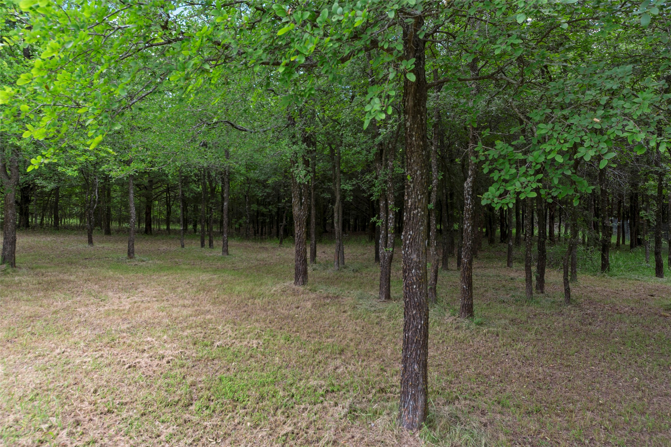 64005 N State Highway 289 Pottsboro TX 75076