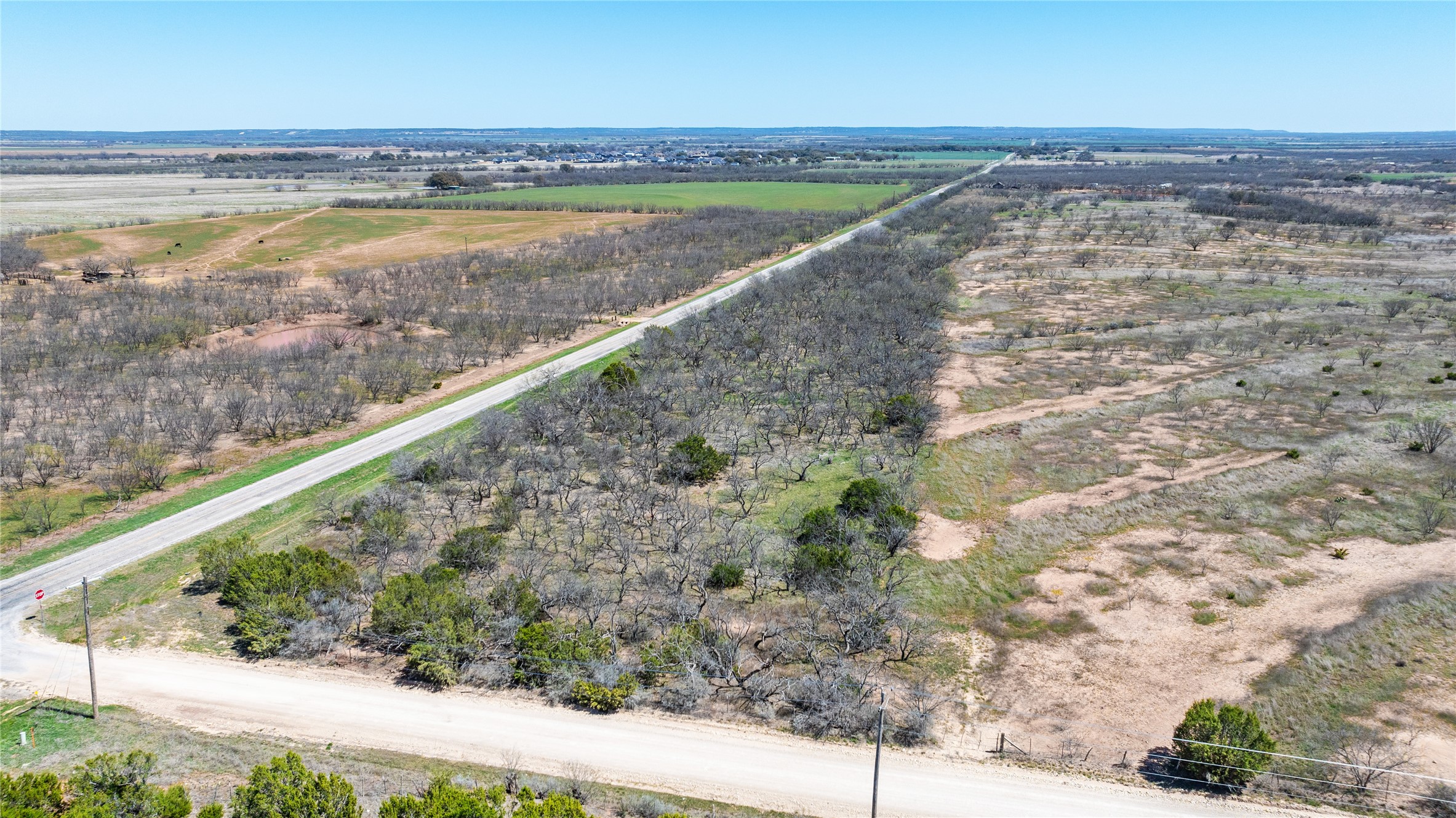 Tbd Cr 614 Ovalo TX 79541