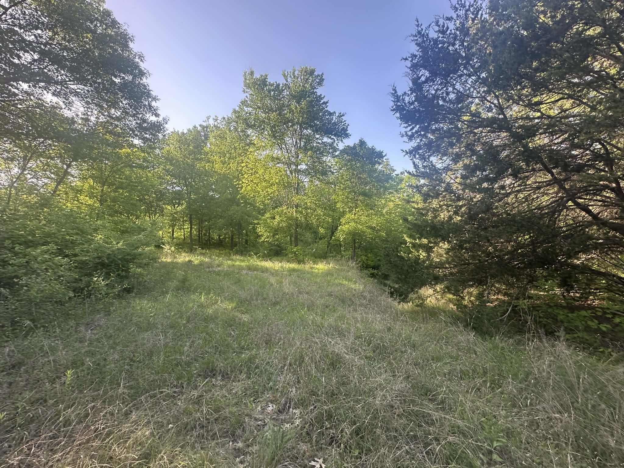 301 W Brand Road Garland TX 75040