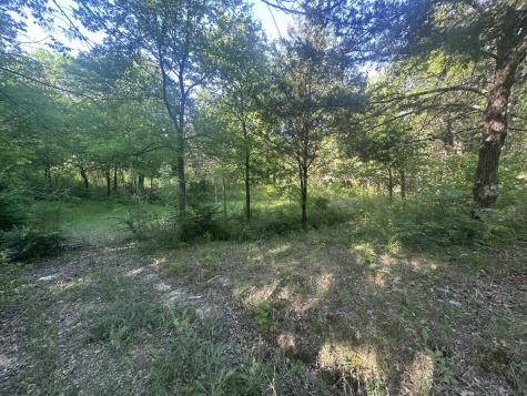301 W Brand Road Garland TX 75040
