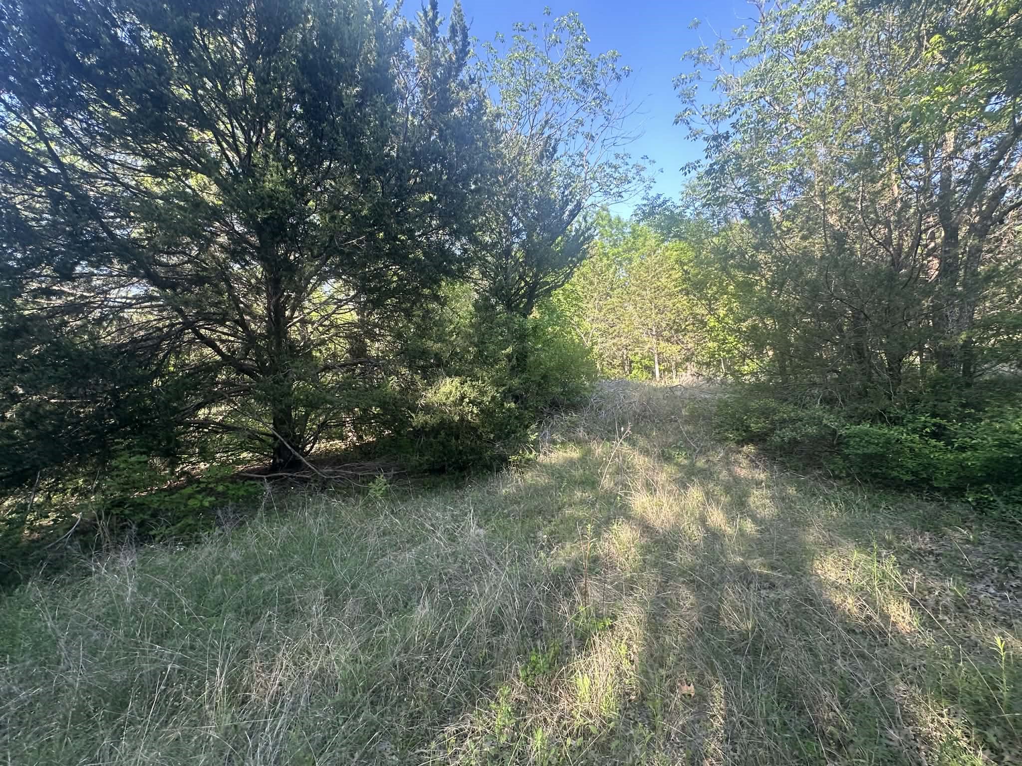 301 W Brand Road Garland TX 75040