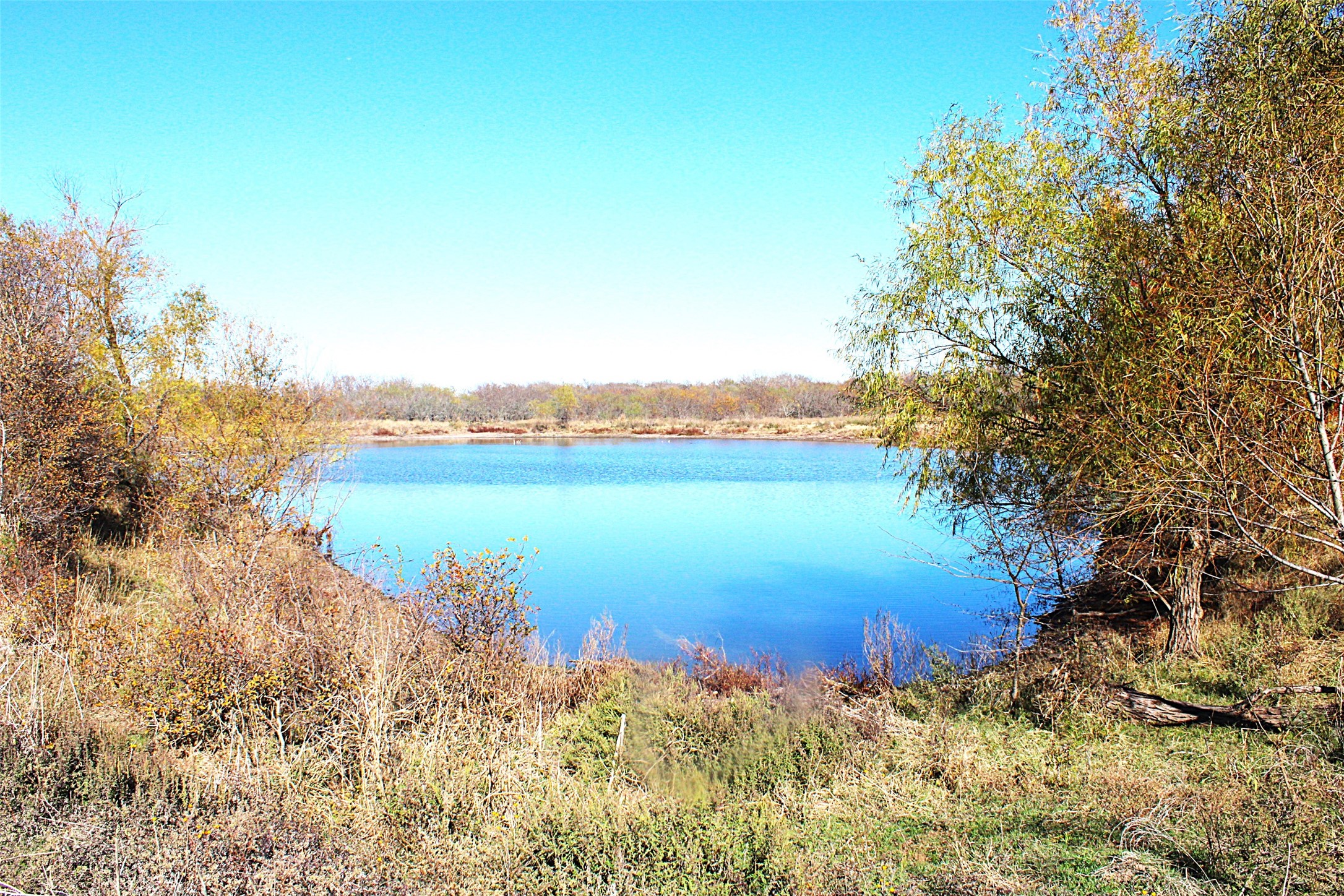 Tbd Lcr330 Prairie Hill TX 76678