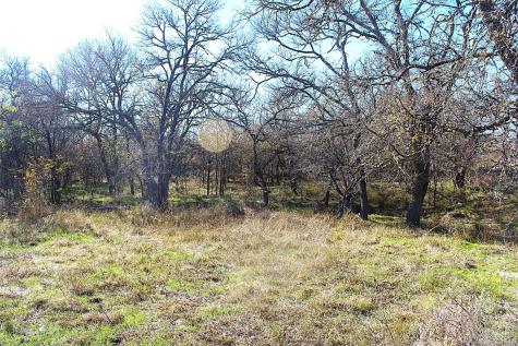 Tbd Lcr330 Prairie Hill TX 76678