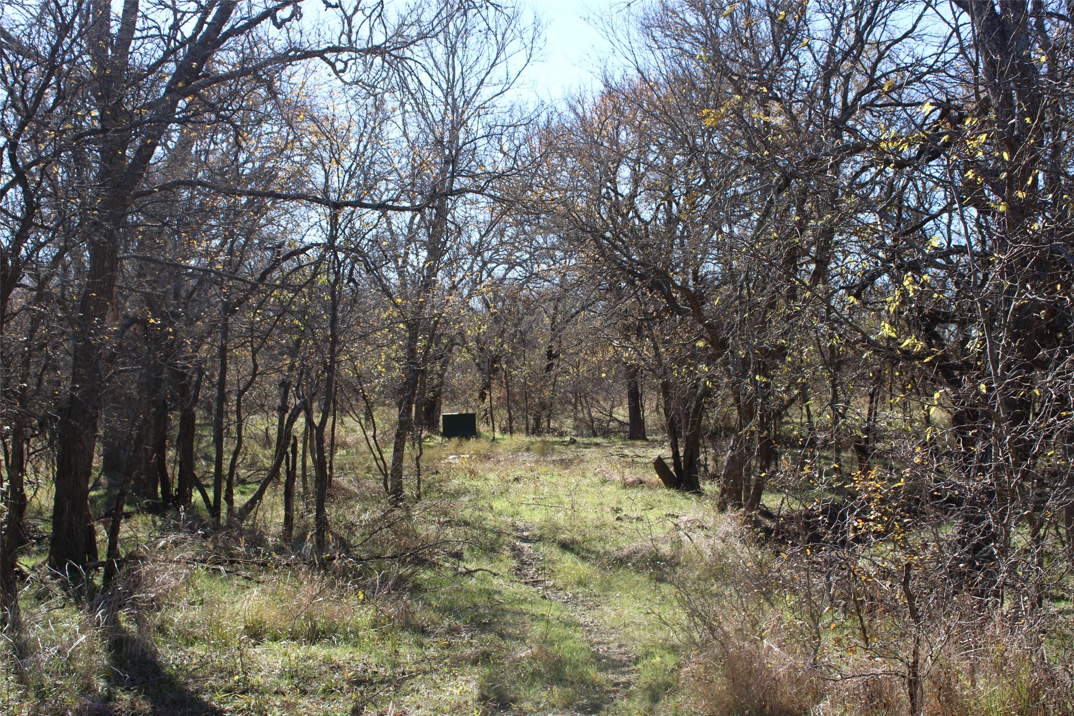 Tbd Lcr330 Prairie Hill TX 76678