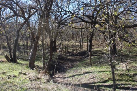 Tbd Lcr330 Prairie Hill TX 76678