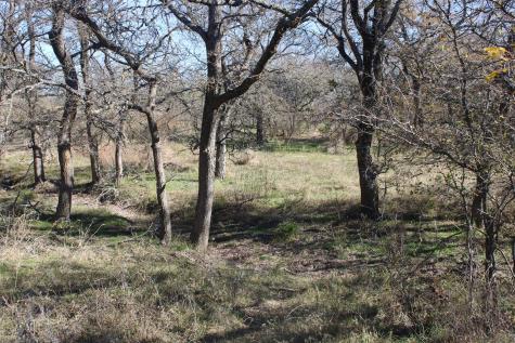Tbd Lcr330 Prairie Hill TX 76678
