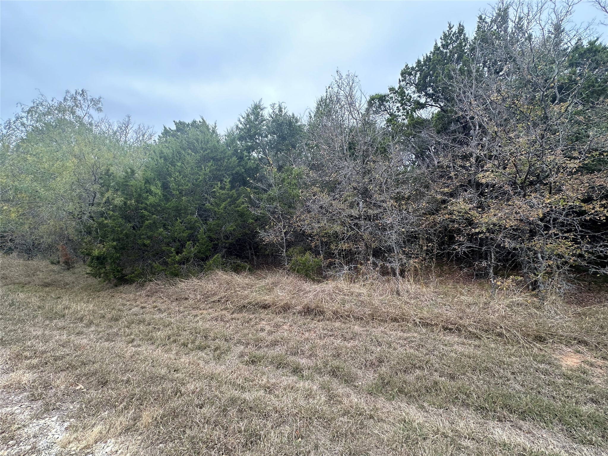 18029 Southhill Drive Whitney TX 76692