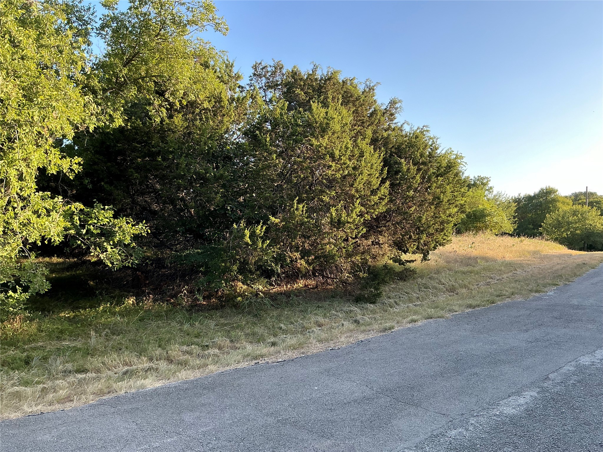 16021 Faircrest Drive Whitney TX 76692