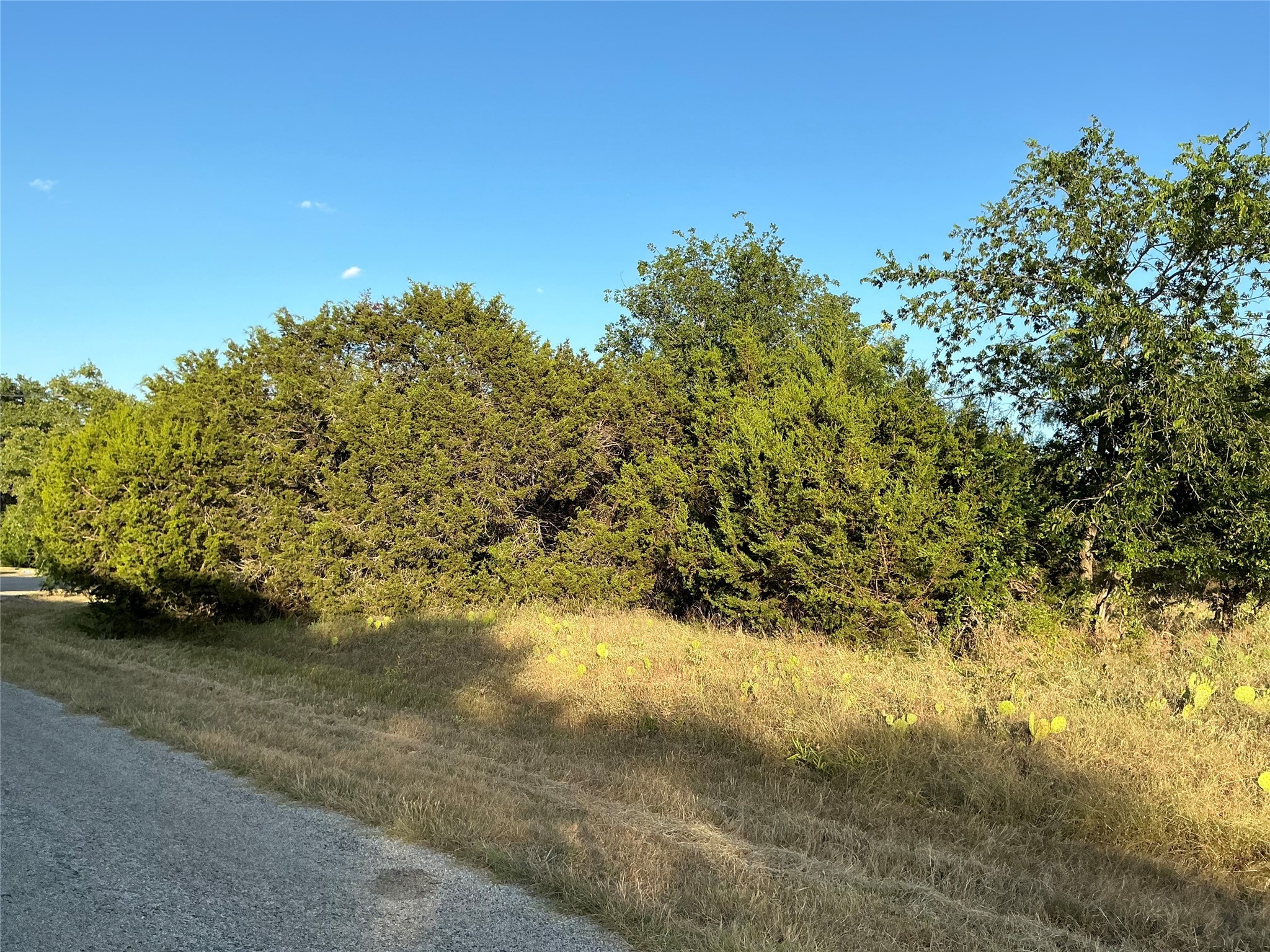 16021 Faircrest Drive Whitney TX 76692