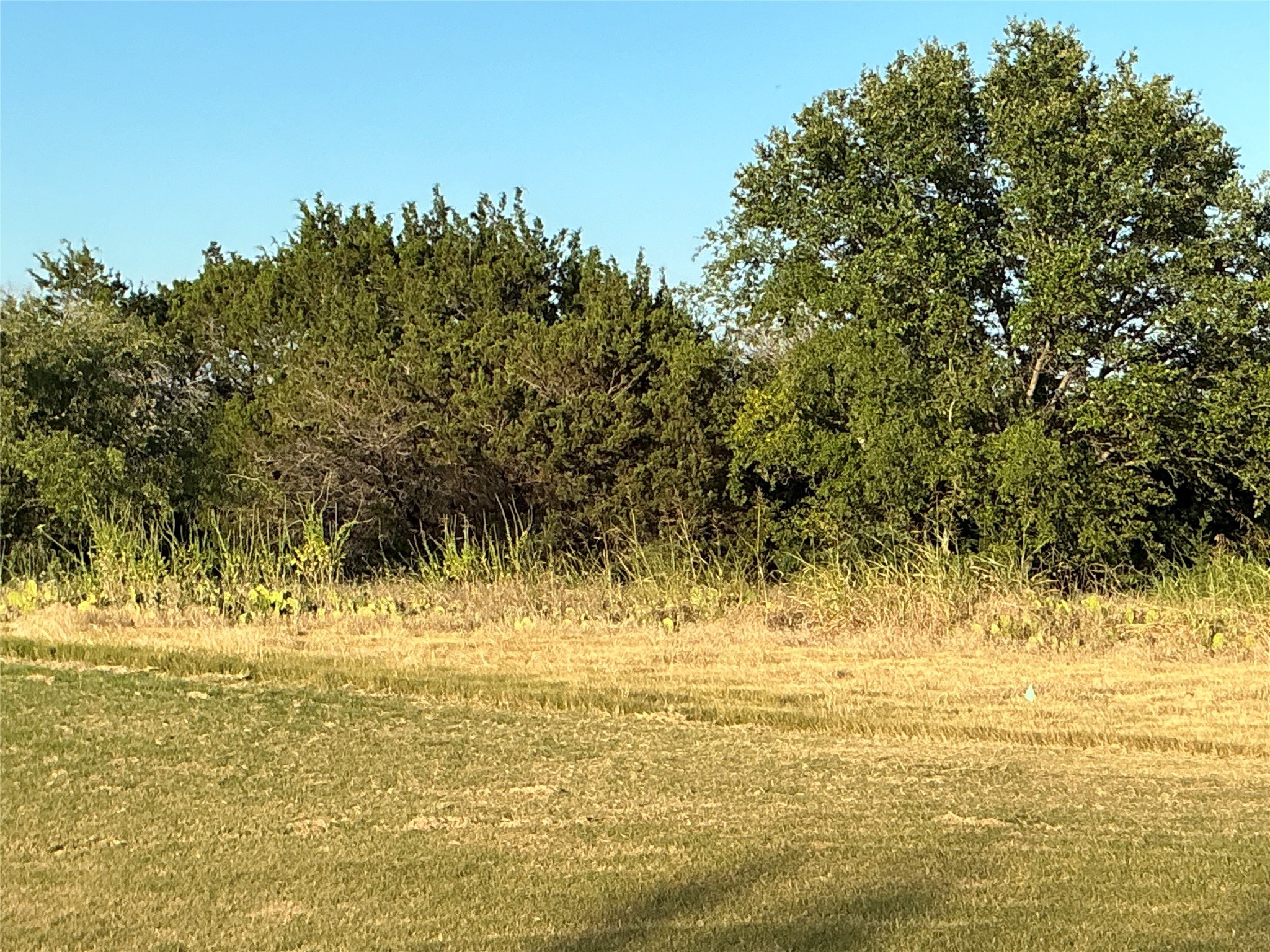 16021 Faircrest Drive Whitney TX 76692