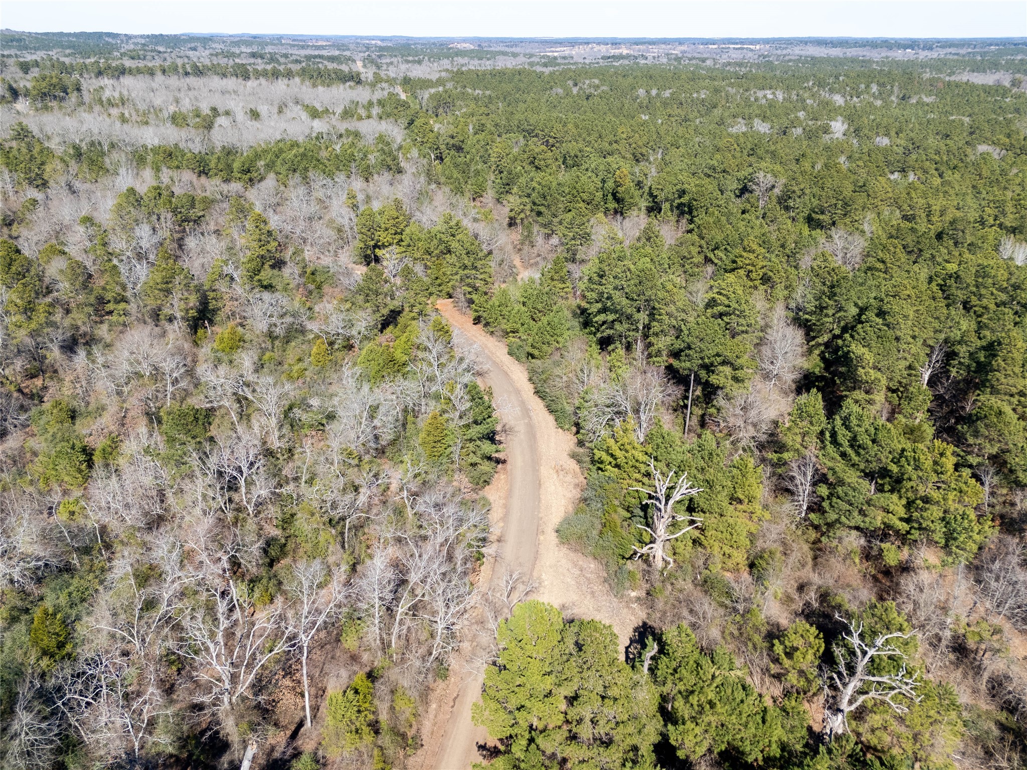 00000 County Road 442 Palestine TX 75803