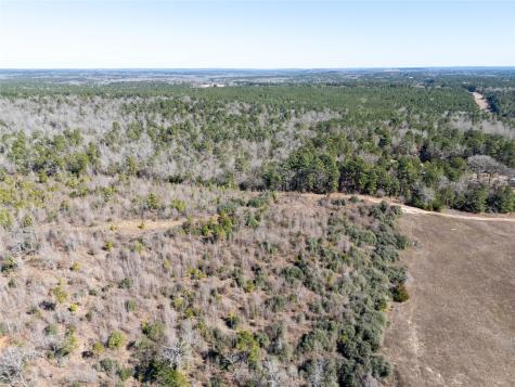 0 County Road 442 Palestine TX 75803