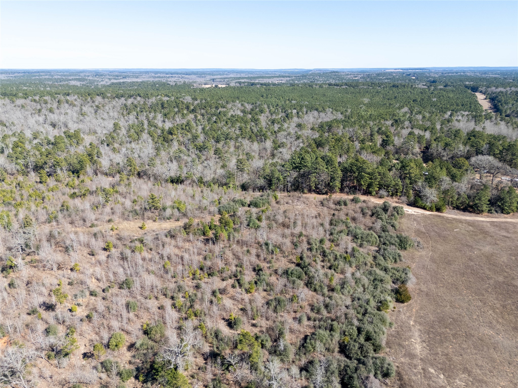 00000 County Road 442 Palestine TX 75803