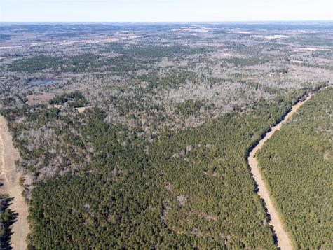 00000 County Road 442 Palestine TX 75803