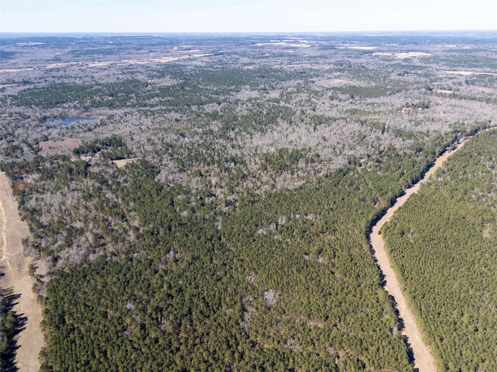 00000 County Road 442 Palestine TX 75803