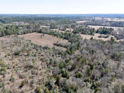 00000 County Road 442 Palestine TX 75803
