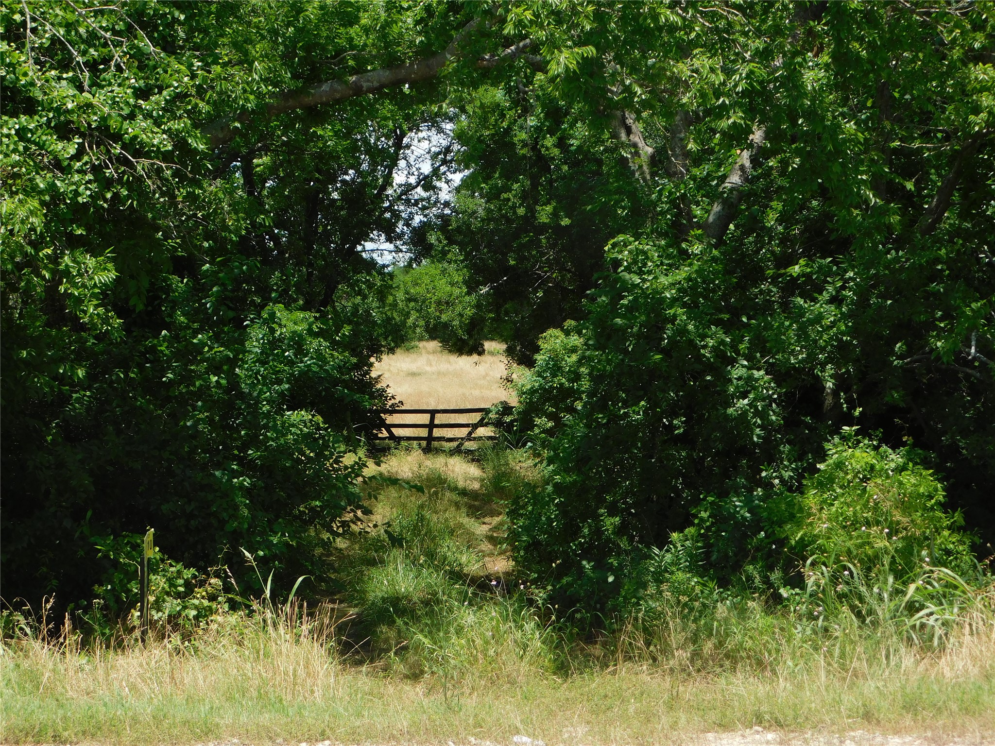Tbd Fm-272 Celeste TX 75423