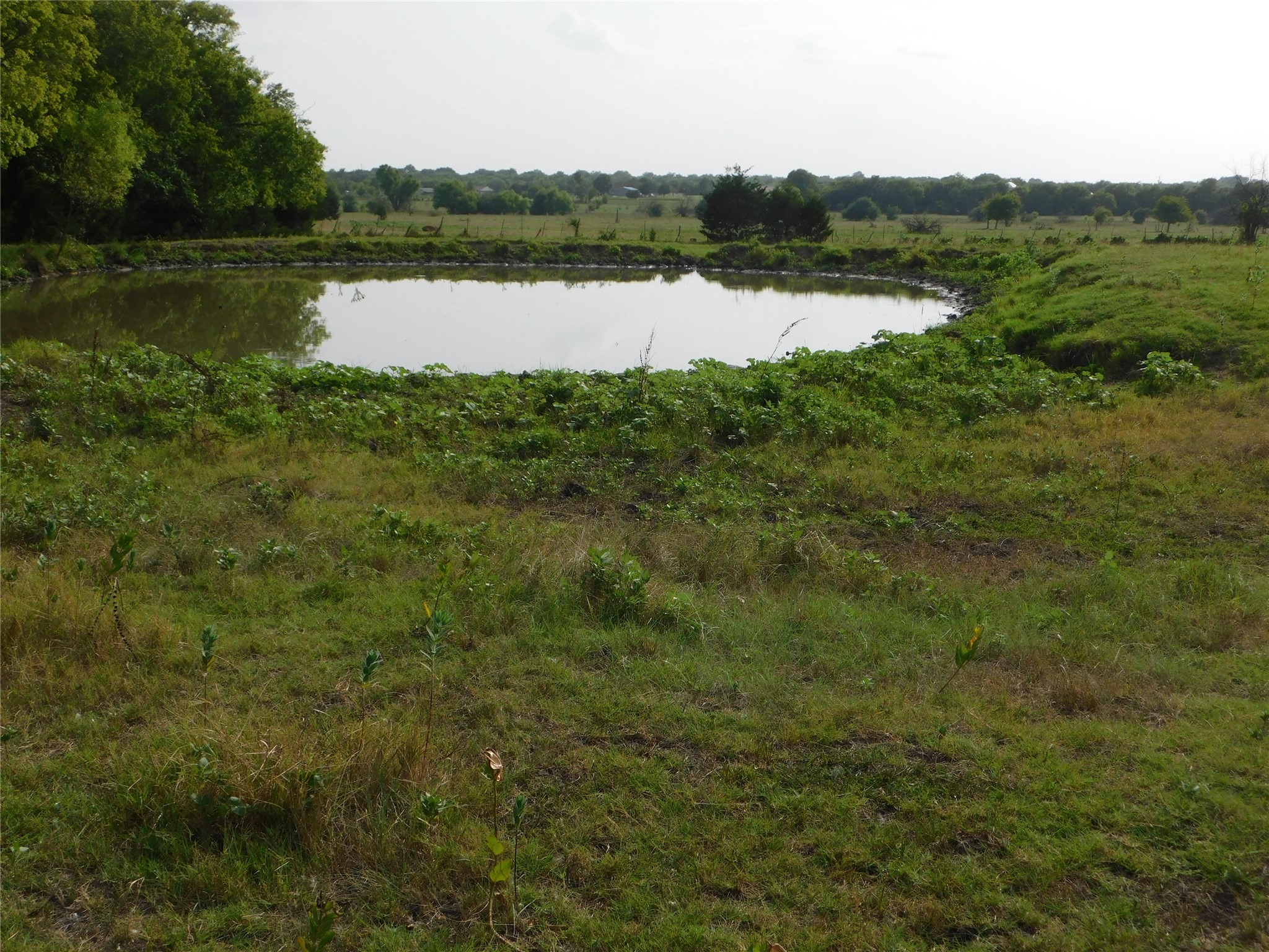 Tbd Fm-272 Celeste TX 75423