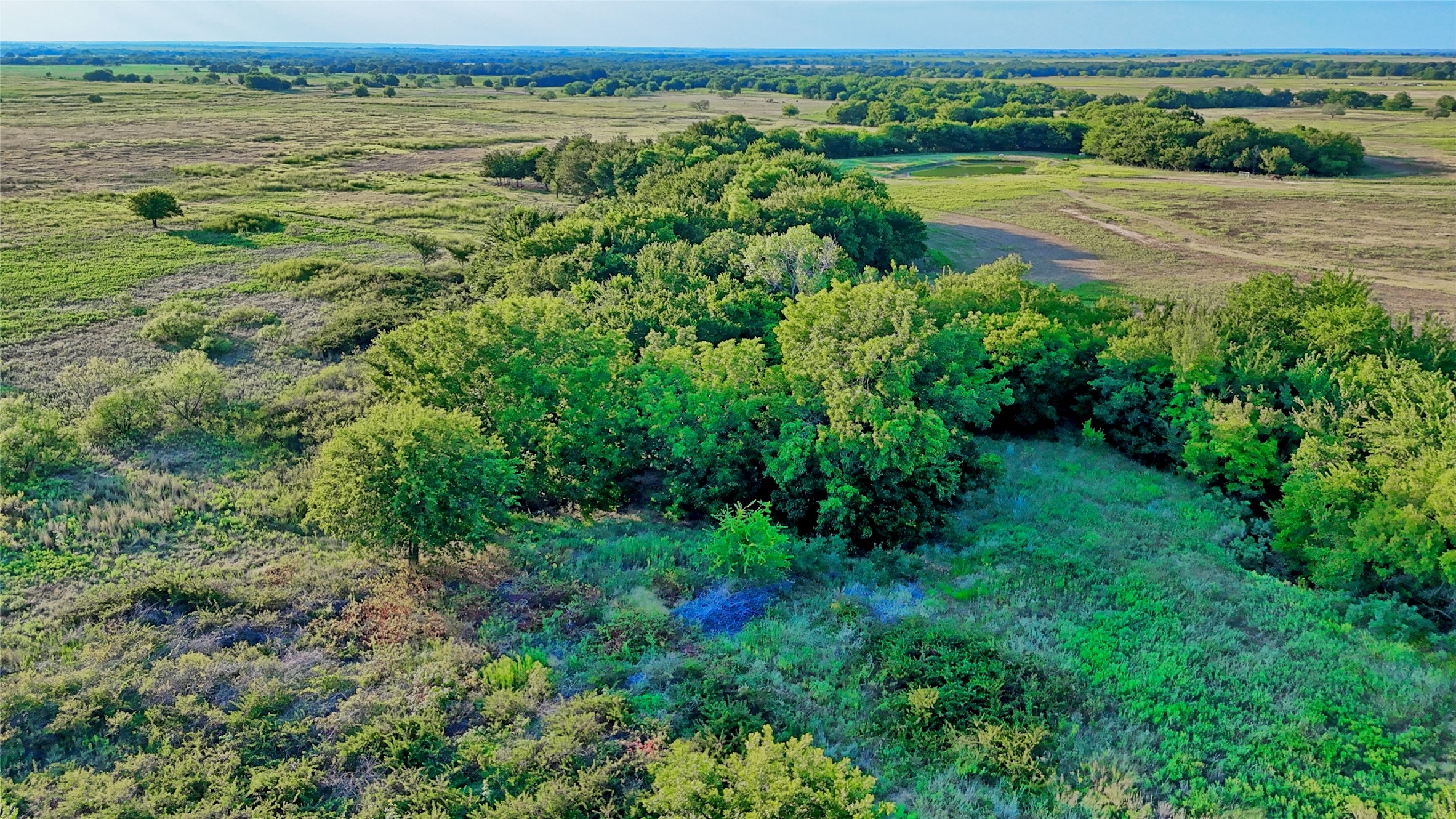 17273 Fm 103 Nocona TX 76255
