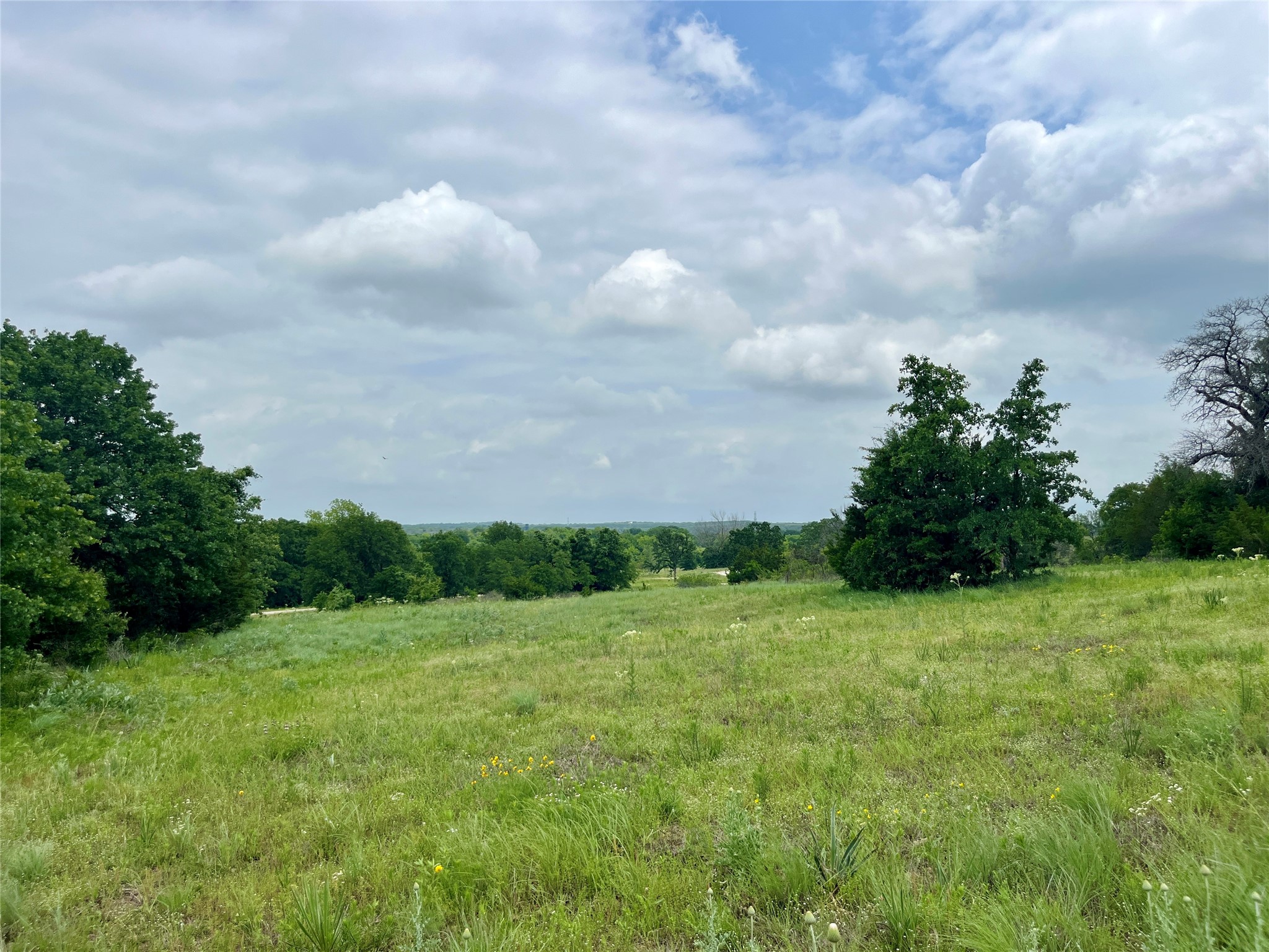 Lot 13 Arlow Road Poolville TX 76487